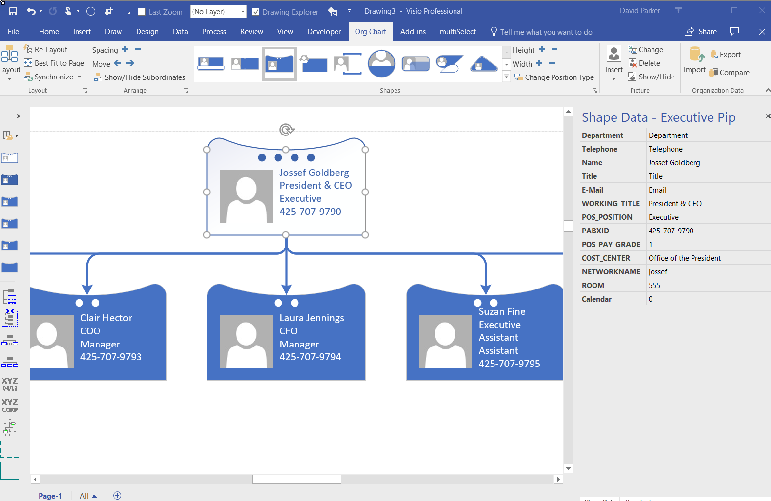 Aliasing Data Columns for Visio Organization Chart Wizard - bVisual