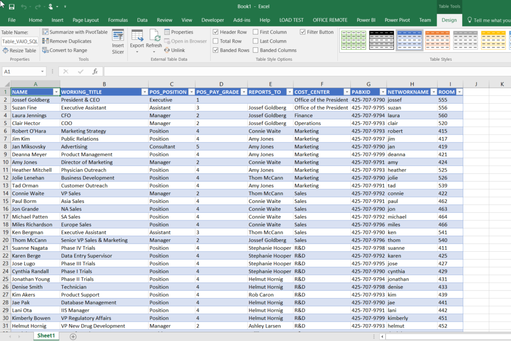 Aliasing Data Columns for Visio Organization Chart Wizard - bVisual