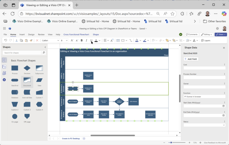 Visio Input Co-authoring and Commenting with Visio Documents - bVisual